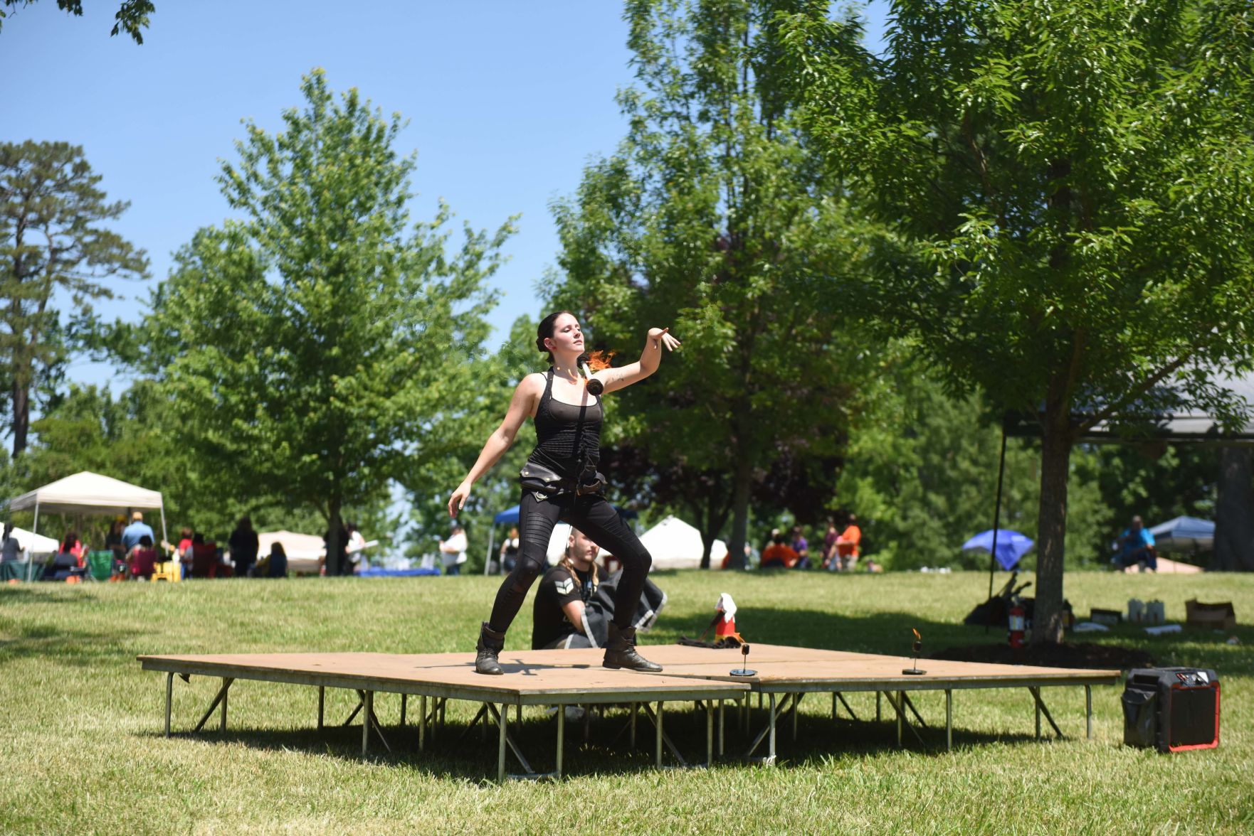 Festival in the Park